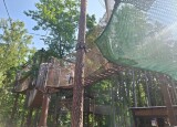 20250610_085848.jpg