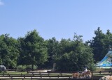 20250612_102319.jpg