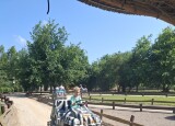 20250612_102654.jpg