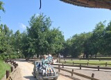 20250612_102653.jpg