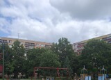 20250617_122119.jpg