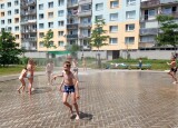 mlhoviště (3).jpg