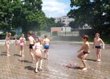 mlhoviště (10).jpg