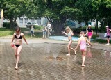 mlhoviště (11).jpg