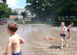mlhoviště (9).jpg