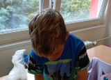 IMG_20250616_135017.jpg