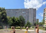 IMG_5795.jpg