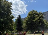 IMG_5796.jpg