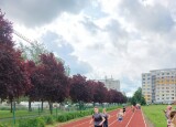 20250605_095526.jpg