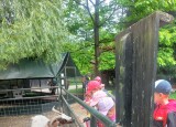 20250611_110421.jpg