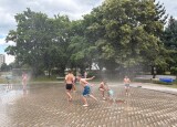 IMG_2718.jpg