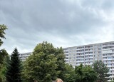 IMG_2723.jpg