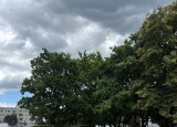IMG_2719.jpg