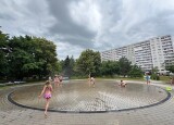 IMG_2717.jpg