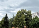 IMG_2714.jpg