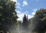IMG_2724.jpg