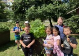 IMG_4815.jpeg