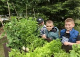 IMG_4586.jpeg
