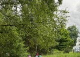 IMG_5836.jpg