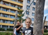 LANOVÉ HŘIŠTĚ U BILLY (14).jpg