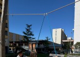 IMG_6665.jpg