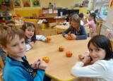 MANDARINKOVÉ DÝNĚ (3).jpg