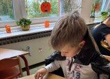 IMG_7049.jpg
