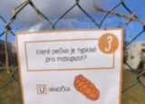STEZKA - SPOLUPRÁCE S MŠ (16).jpg