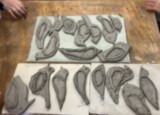 IMG_7189.jpeg