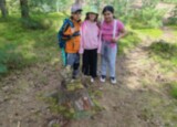 IMG_20260506_110816.jpg