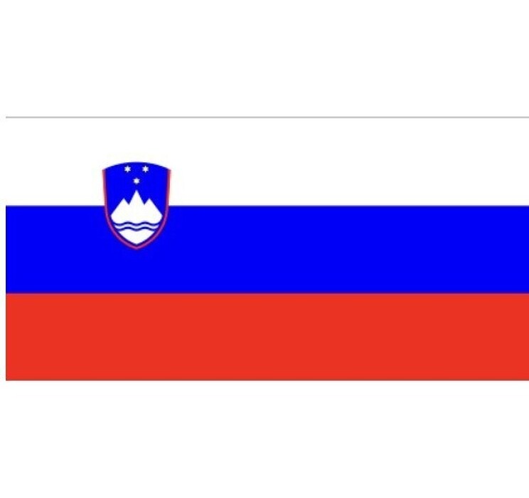 V květnu jsme na naší škole přivítali skupinu studentů ze Slovinska v rámci pokračování výměnného programu Erasmus+.