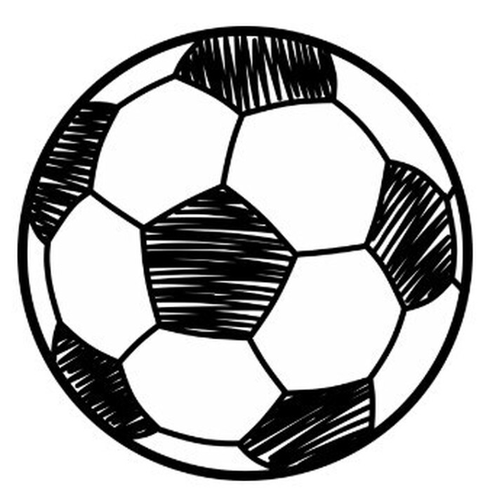 Veřejný trénink hradeckých fotbalistů